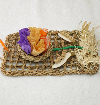 Harvest Flower-Rabbit Toy/Guinea Pig Toy | Activity Busy Mat Side View2