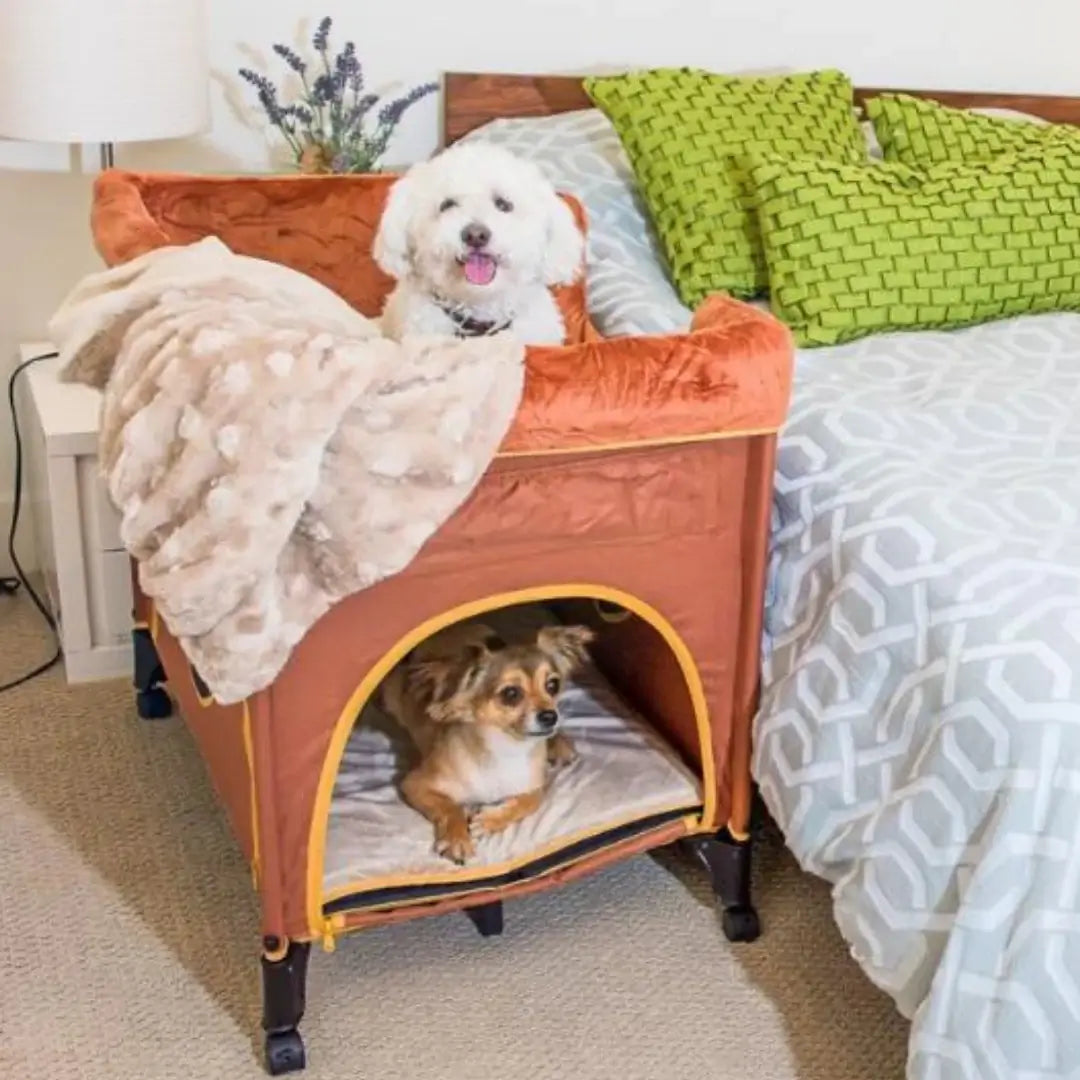 Petique Bedside Lounge Pet Bed- Lion's Den | Raised Bunk Bed for Pets 1