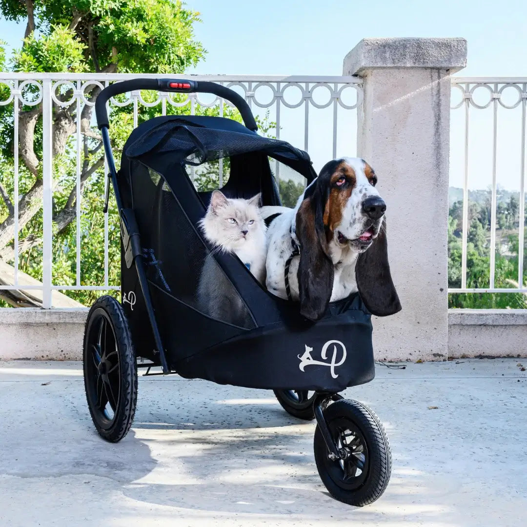 Petique Breeze Pet Jogger- Green | Jogging Dog Stroller | Pet Bike Trailer 1