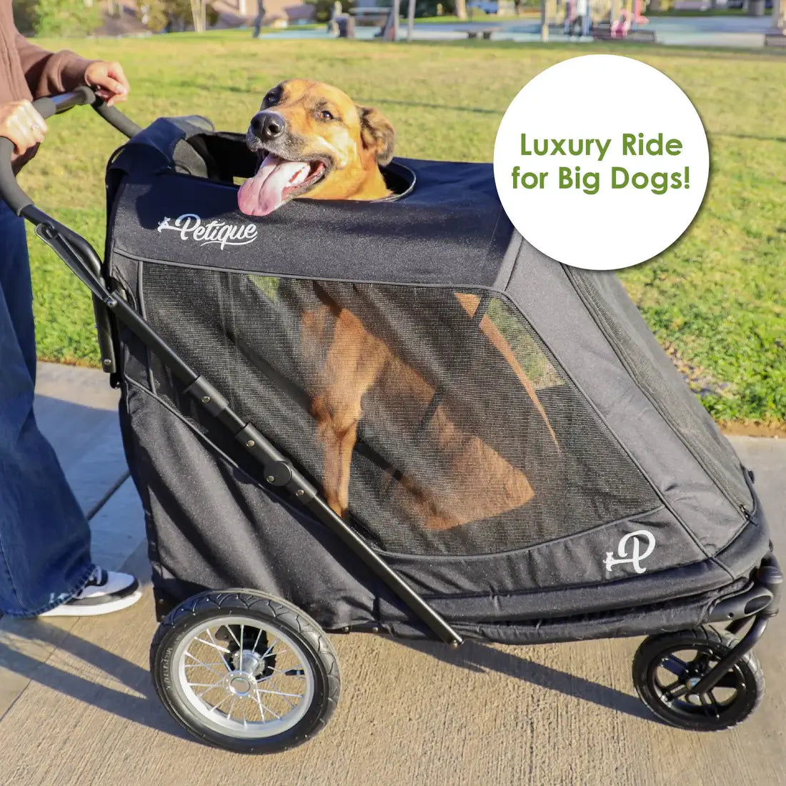 Petique Apollo Elite Pet Stroller w/ Tire Pump | Large Dog Stroller for Senior and Disabled Pets 1