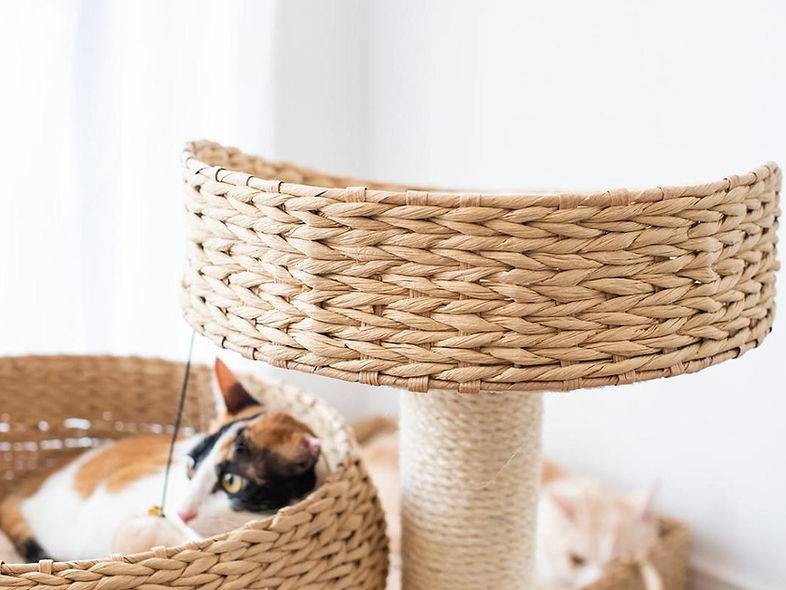 Cozy - Natural 3-Level Cat Tree - A Bunny Good Time