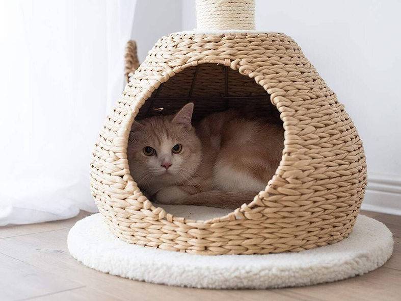 Walk Up - Handwoven Small Cat Tower - A Bunny Good Time