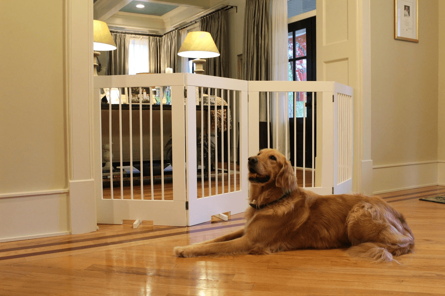 Cardinal Gates 4-Panel Freestanding Pet Gate (Model 4PG) 1