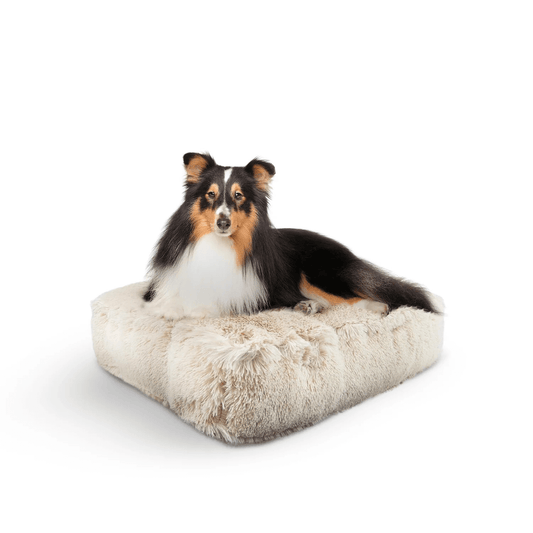 Bessie and Barnie Rectangle Dog Bed- Blondie | Rectangle Pet Bed 