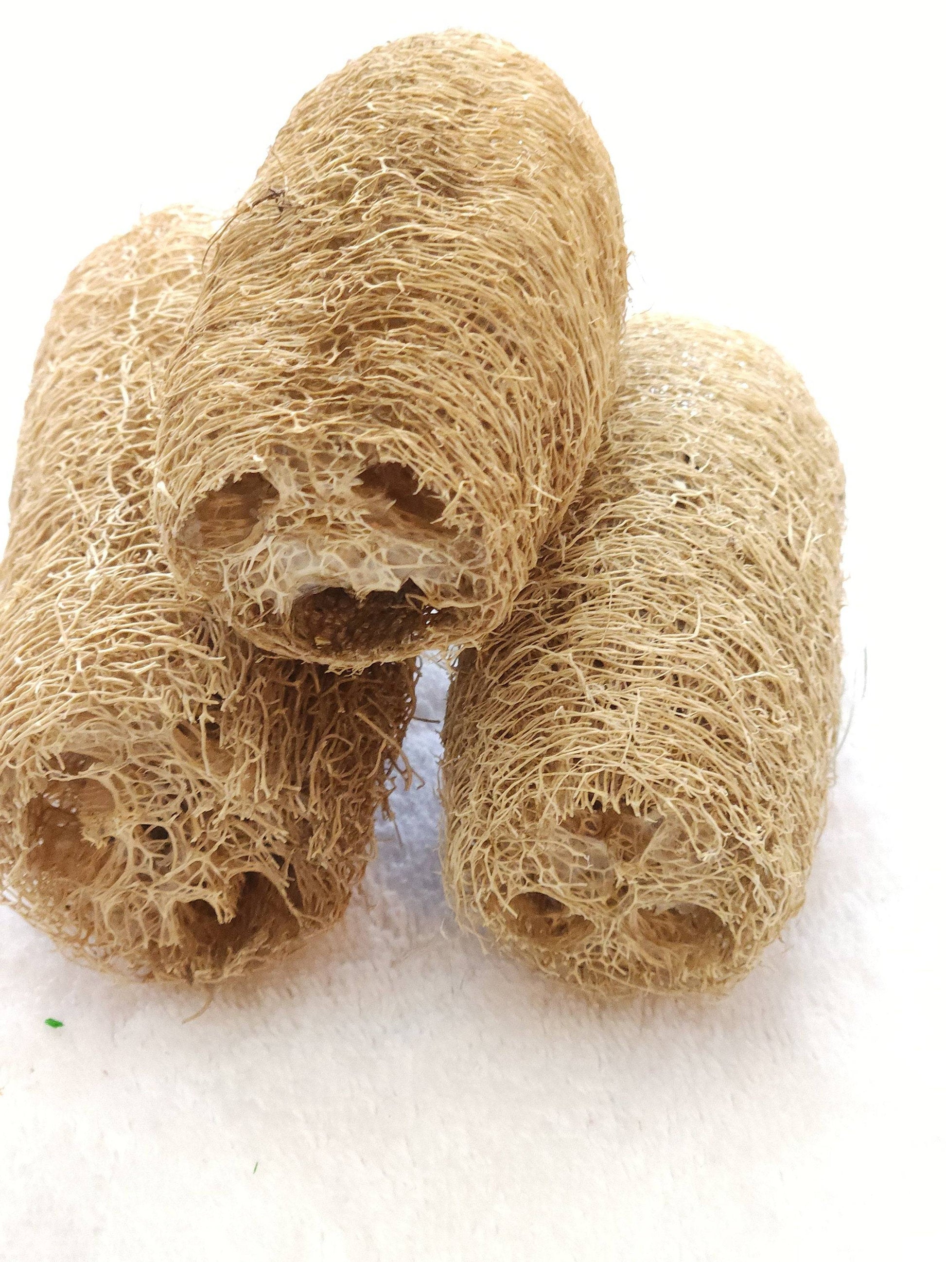 All-Natural Whole Loofa - A Bunny Good Time