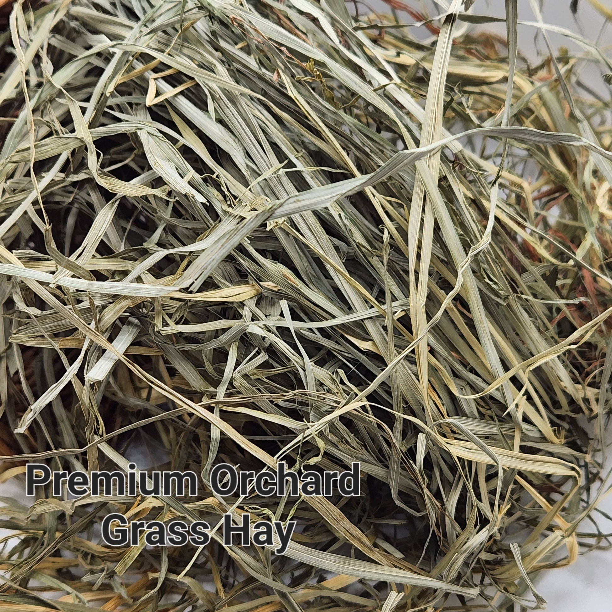 Small Animal Forage Mix in a Natural Willow Basket - A Bunny Good Time