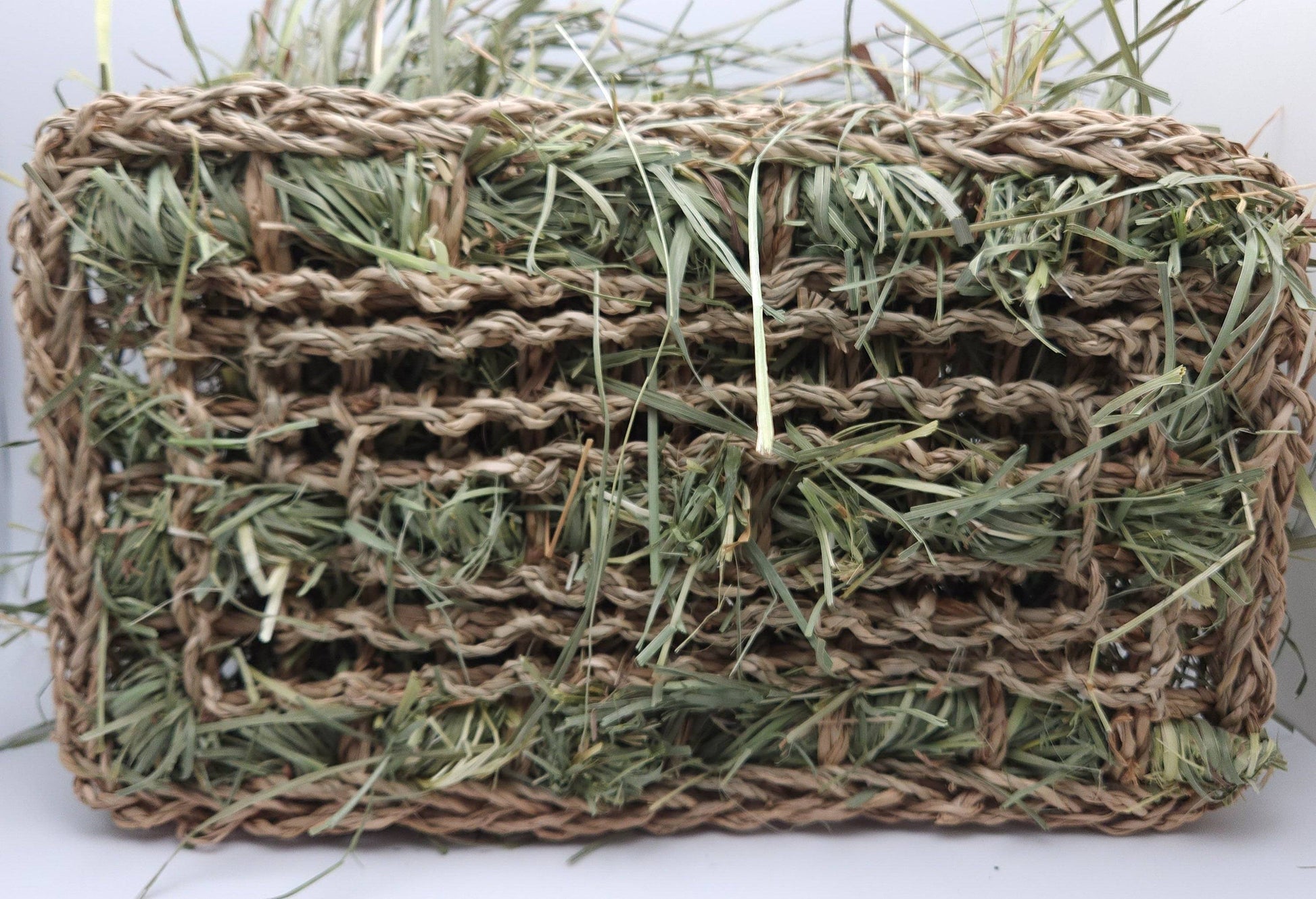 Grassland - All-Natural Forage Activity Mat - A Bunny Good Time