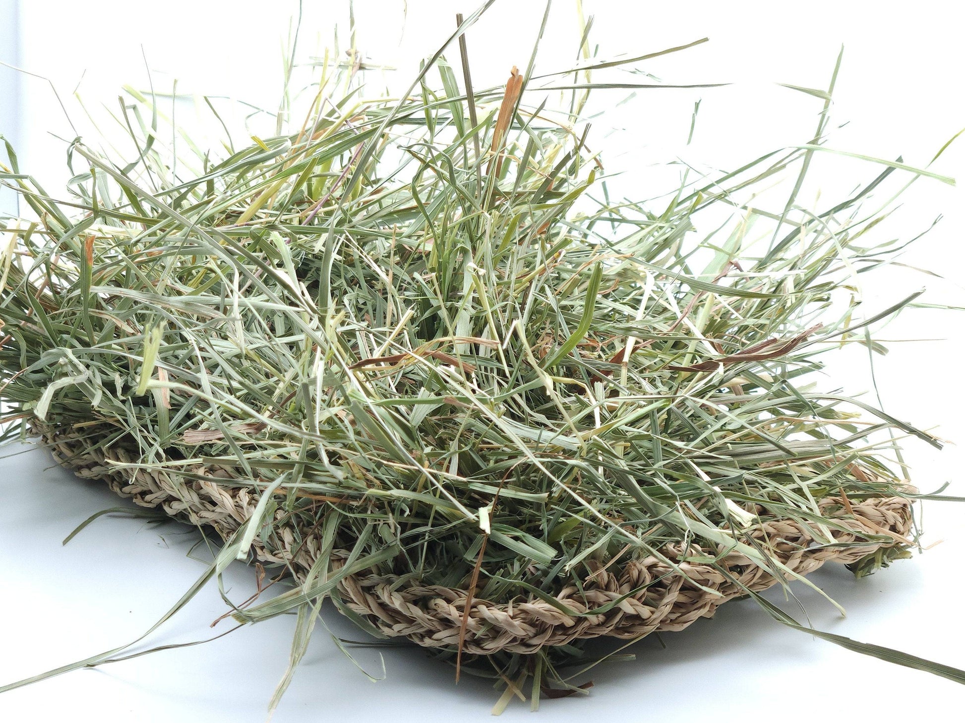 Grassland - All-Natural Forage Activity Mat - A Bunny Good Time