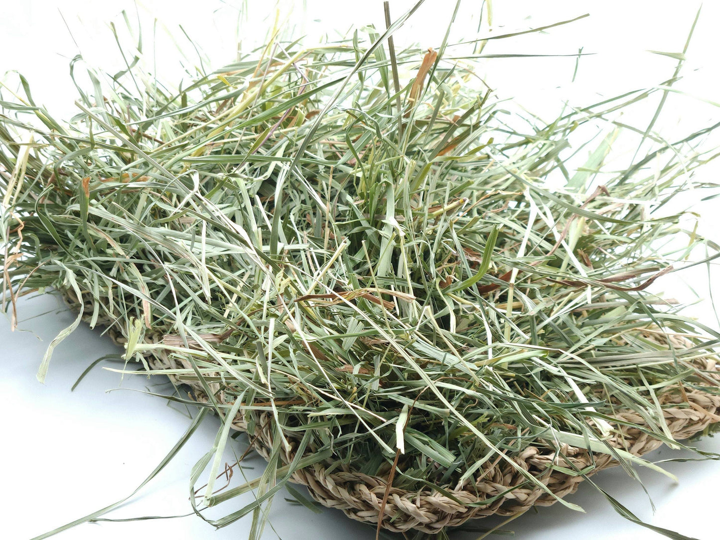 Grassland - All-Natural Forage Activity Mat - A Bunny Good Time