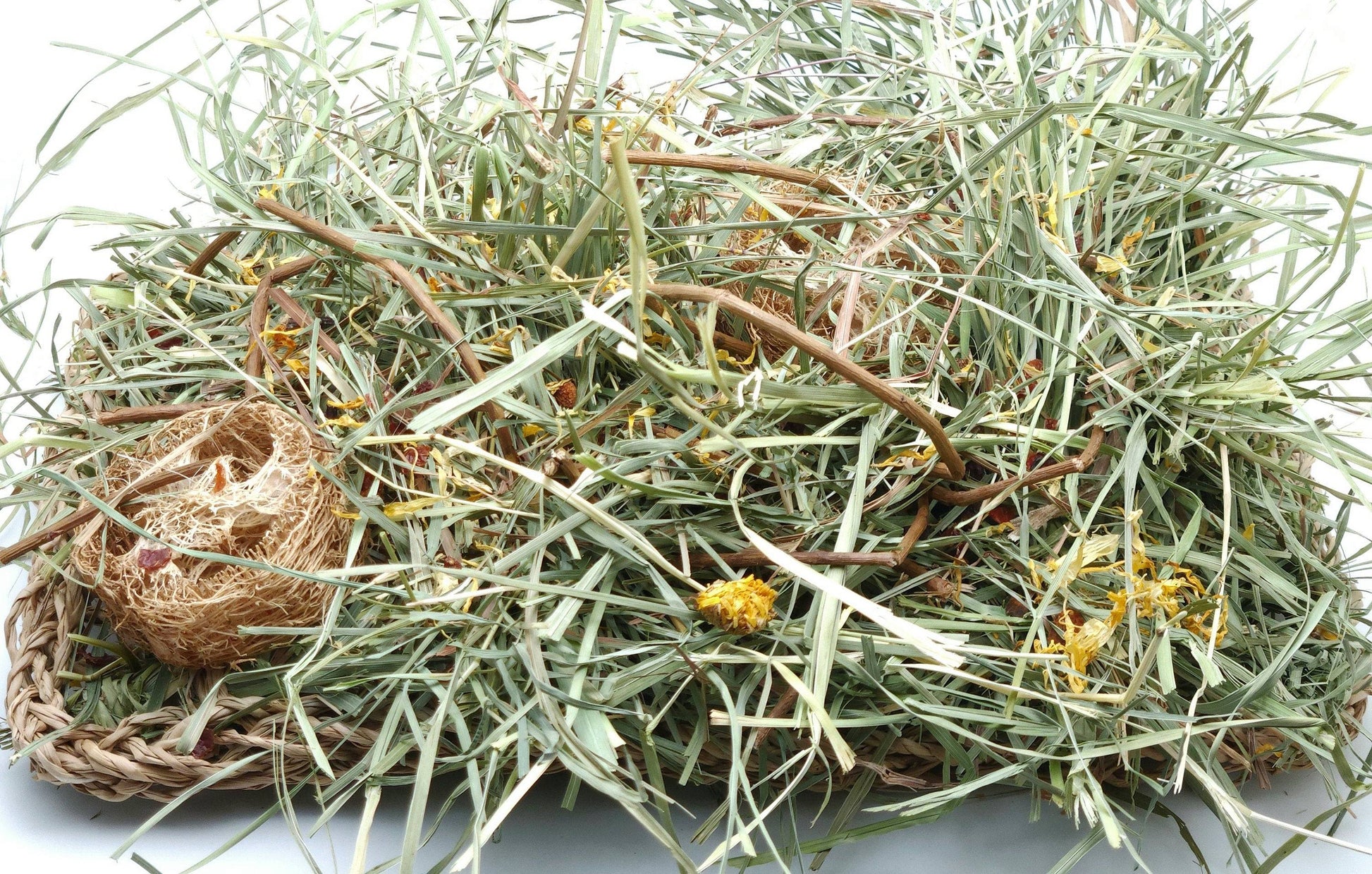 Grassland with Forage Mix -Forage Activity Mat - A Bunny Good Time