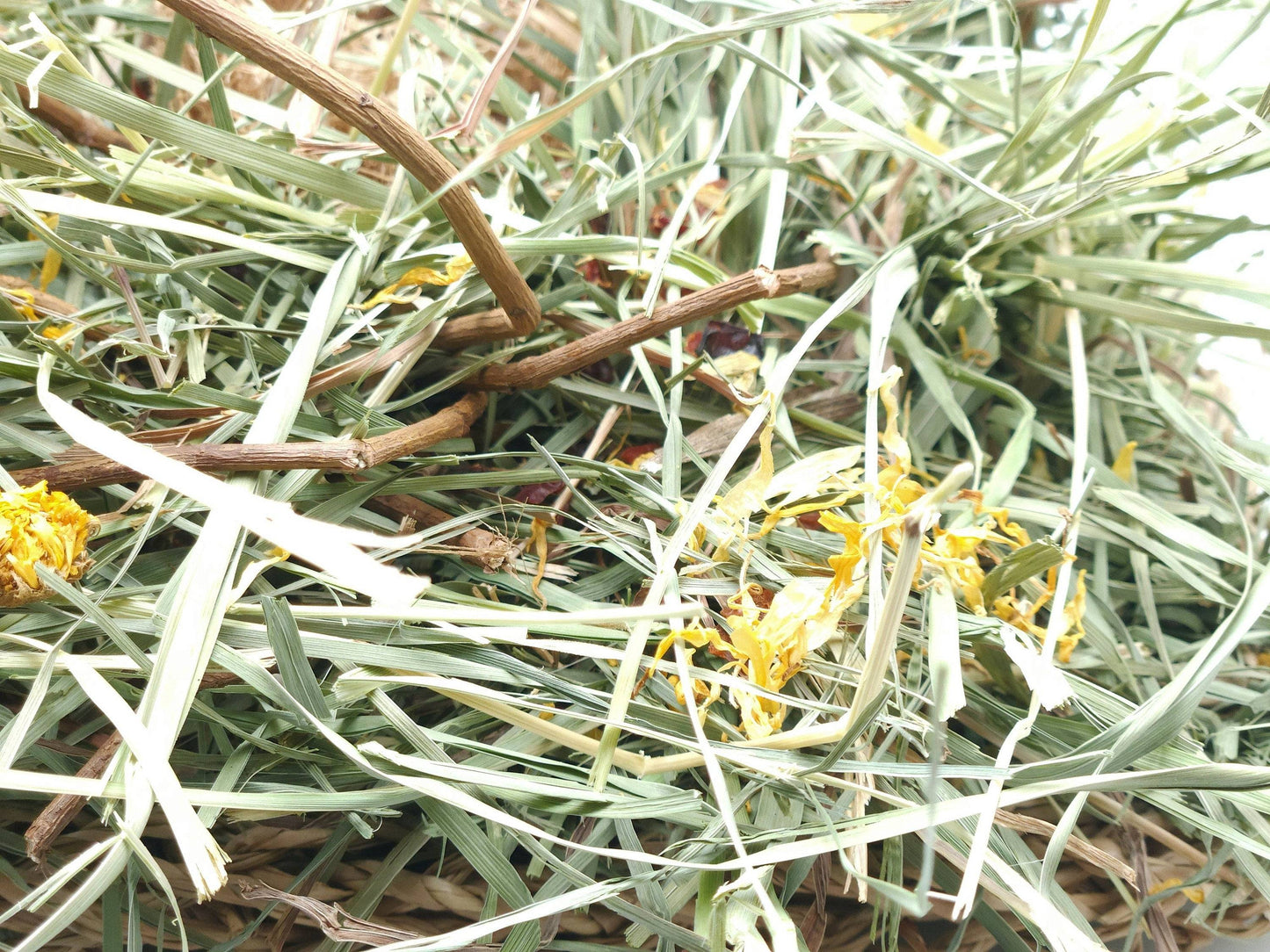 Grassland with Forage Mix -Forage Activity Mat - A Bunny Good Time