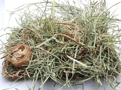 Grassland with Forage Mix -Forage Activity Mat - A Bunny Good Time