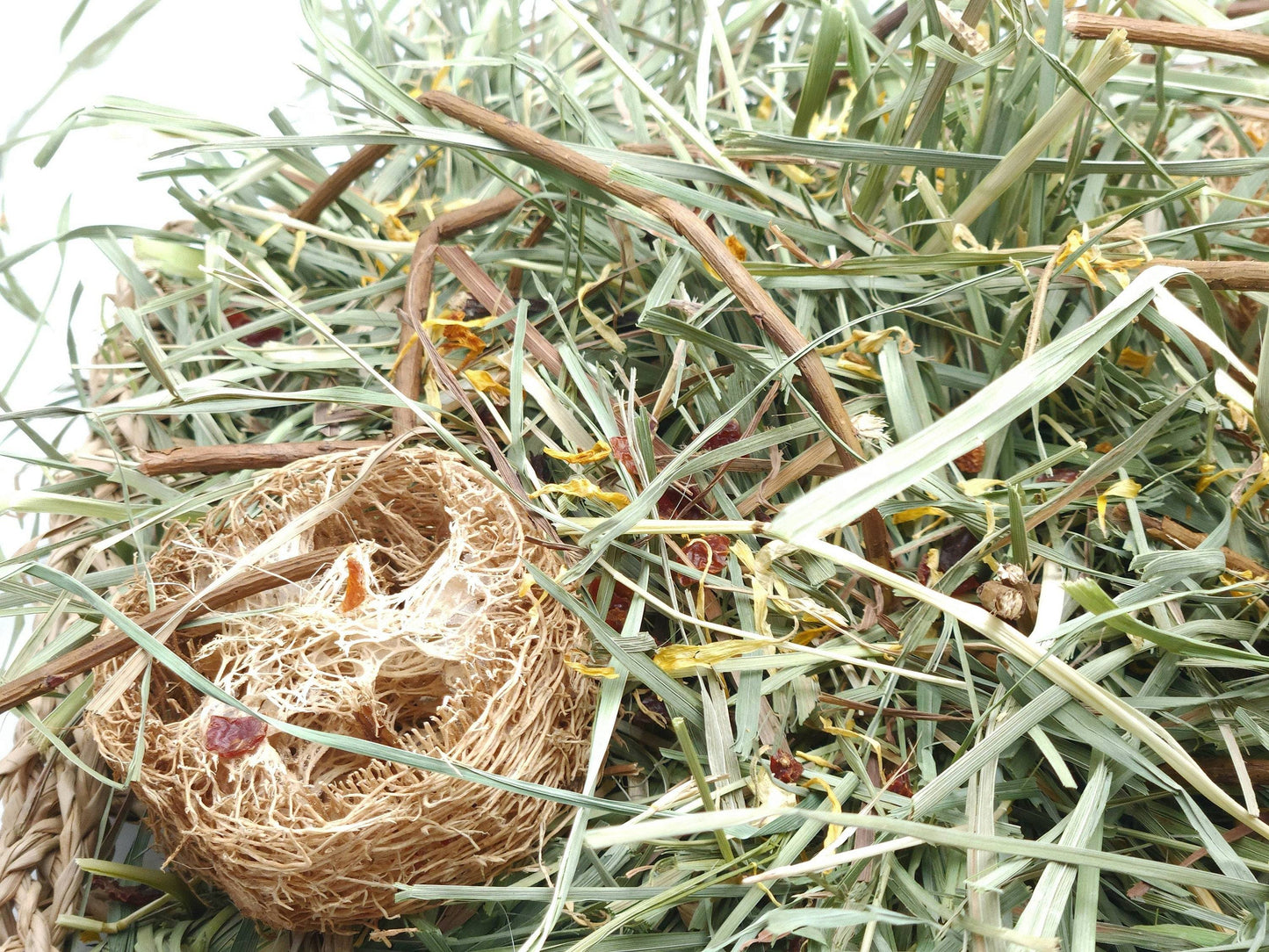 Grassland with Forage Mix -Forage Activity Mat - A Bunny Good Time