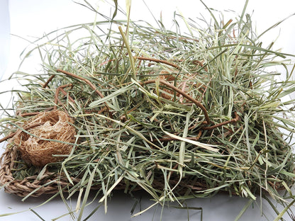 Grassland with Forage Mix -Forage Activity Mat - A Bunny Good Time